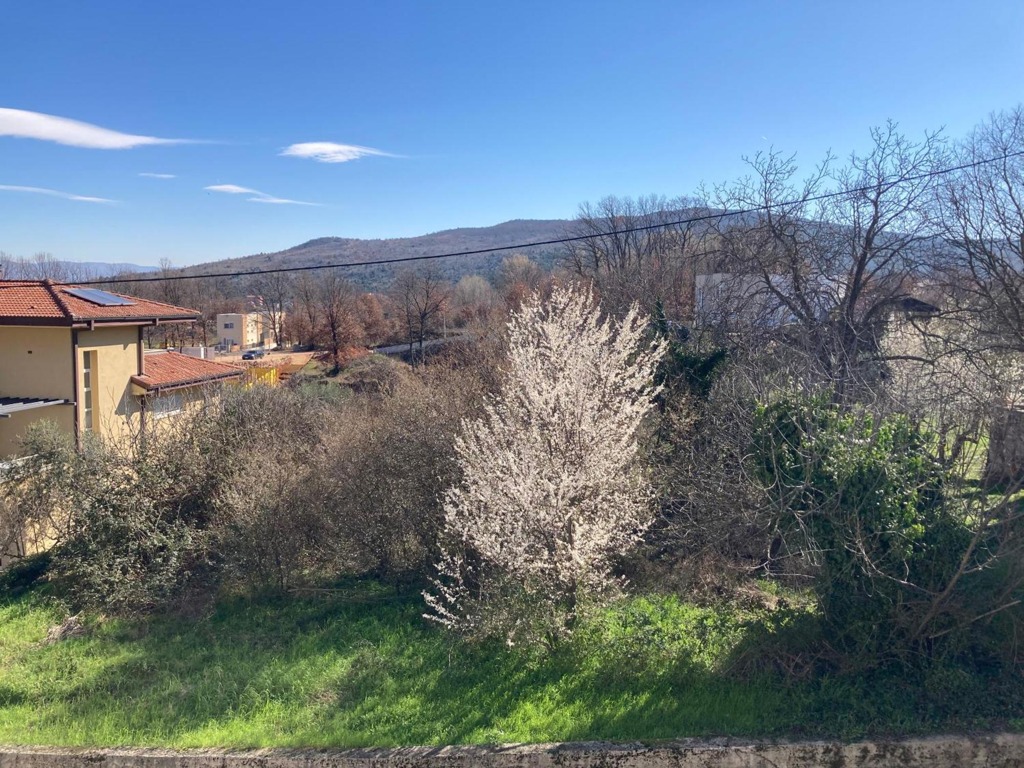 Pension Silvia Međugorje Cameră foto